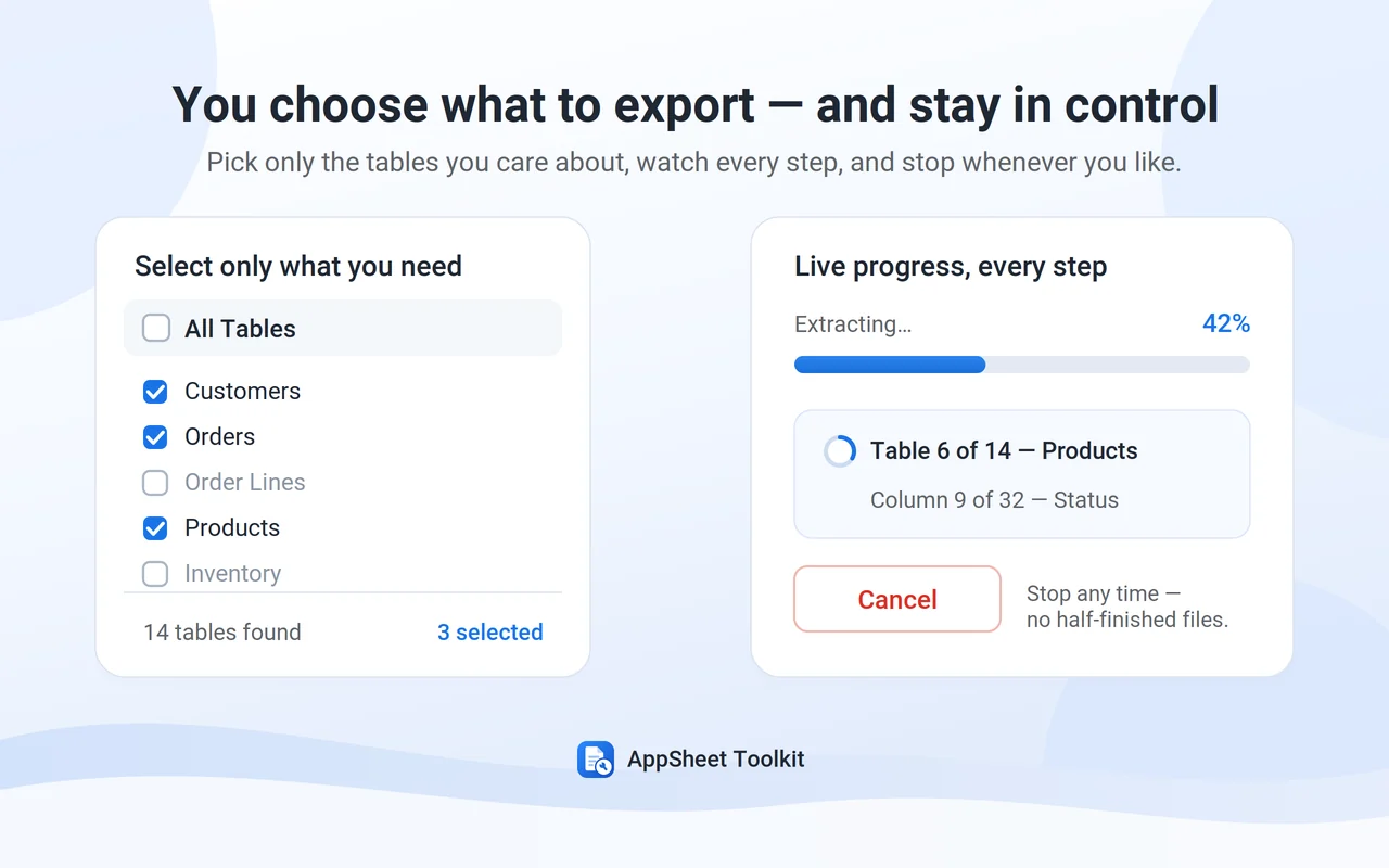 Select only the tables you need and follow live progress with a cancel option